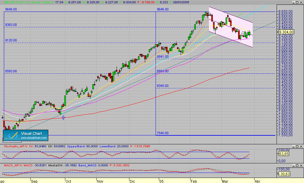 Fibex.Diario.seg.290305.gif