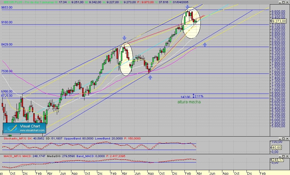 Copia de Fibex.semanal.seg.010405.gif