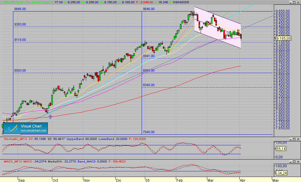 Fibex.Diario.seg.040405.gif