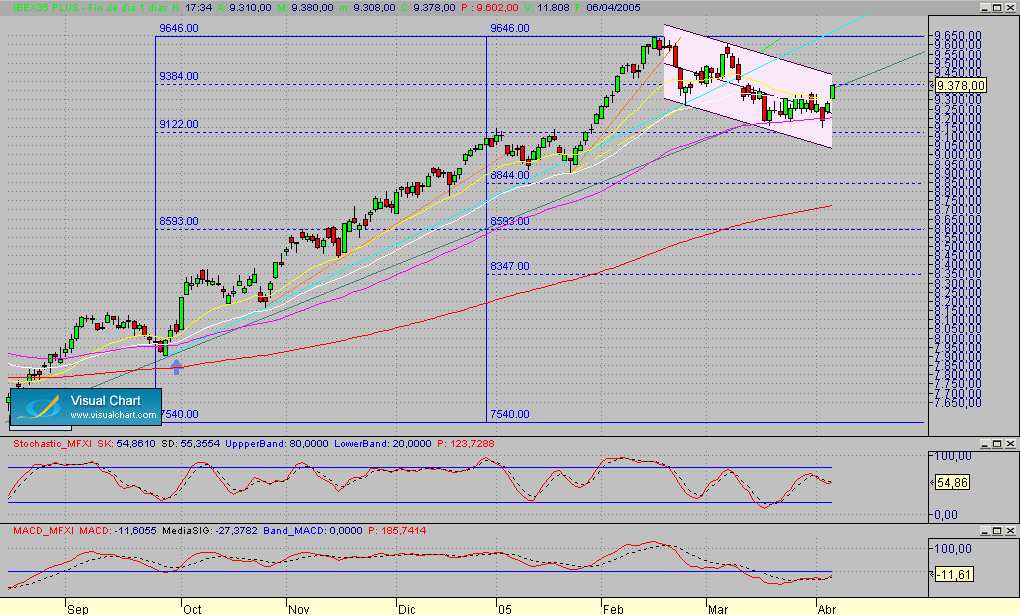 Fibex.Diario.seg.060405.gif