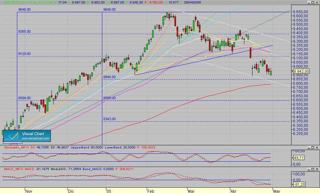 Fibex.Diario.seg.290405.gif