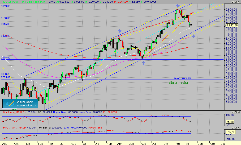 Fibex.semanal.segmto.290405.gif