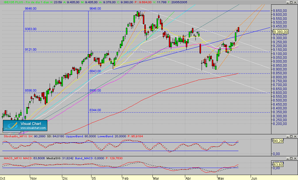 Fibex.Diario.seg.200505.gif