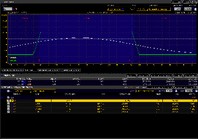 2008-04-10-RISK PROFILE.png