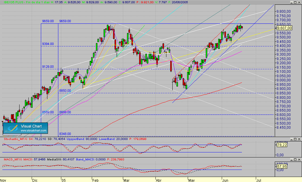 Fibex.Diario.seg.200605.gif