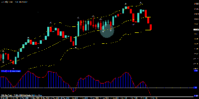 oil daily.gif