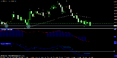 oil daily 4-8-08.gif