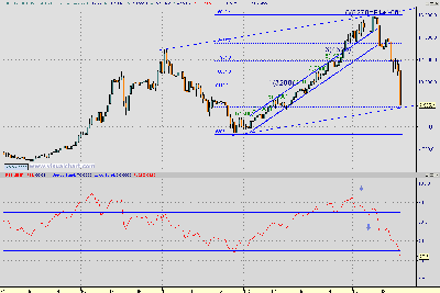 Ibex en canal.PNG