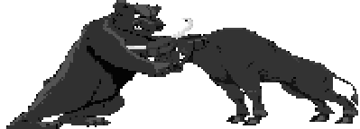 bull-bear.gif