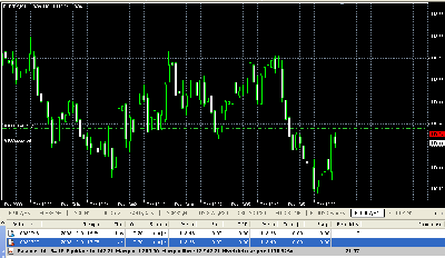 2008-11-26_175016_hedge_B_10c.gif