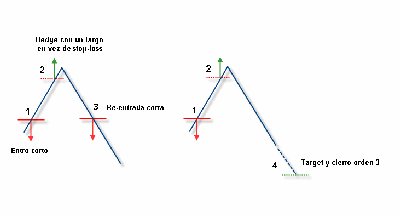hedge01.gif