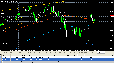 2008-12-15_121505_hedge02_equilibrado.gif