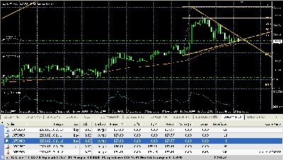 2008-12-18_211825_hedgeE02_grafico.gif
