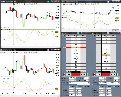 FOREX-NINJA.jpg