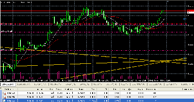 2009-02-10_124415_hedge_en_cuenta_real.gif