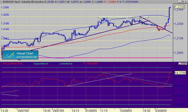 rotura350.gif