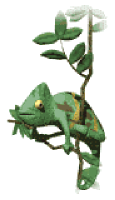 camaleon3.gif