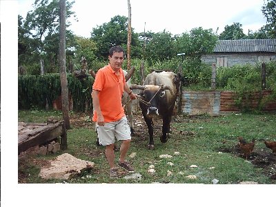 Ramon y los bueyes.jpg