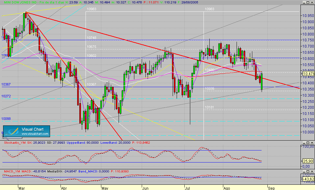 DJIA.Future.seg.290805.gif