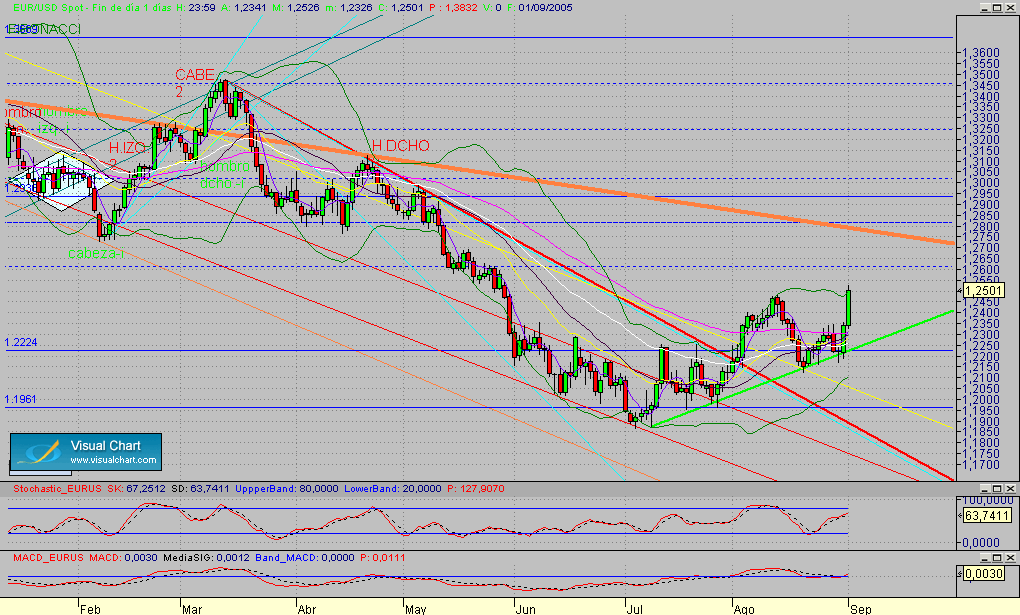 eurusd.diario.seg.010905.gif