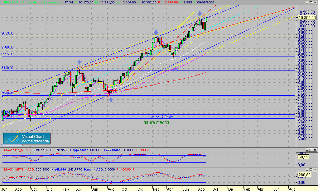Fibex.semanal.seg.050905.gif