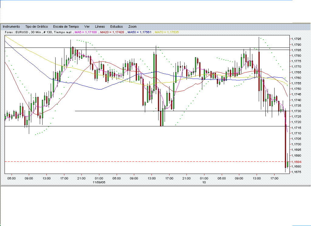 eurusd.elcantaro.101105.gif