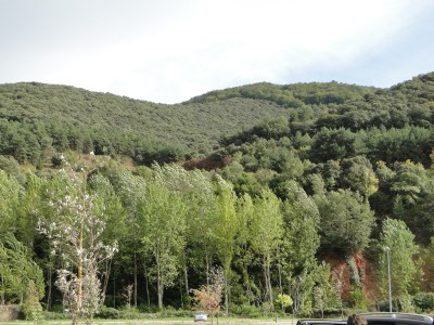 domingo-san-millan-de-la-cogolla-1.jpg