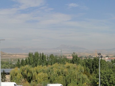sabado-leon-dormido.jpg