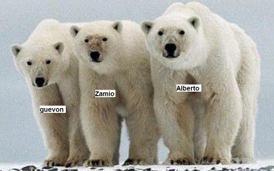 respuesta.jpg