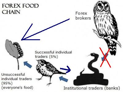 Forex_Chain_Food.jpg