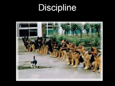 disciplina.png