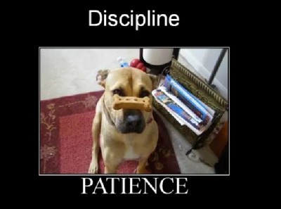 disciplina y paciencia.png