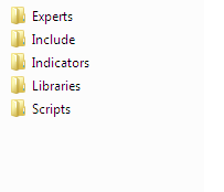 CARPETA FILES.png