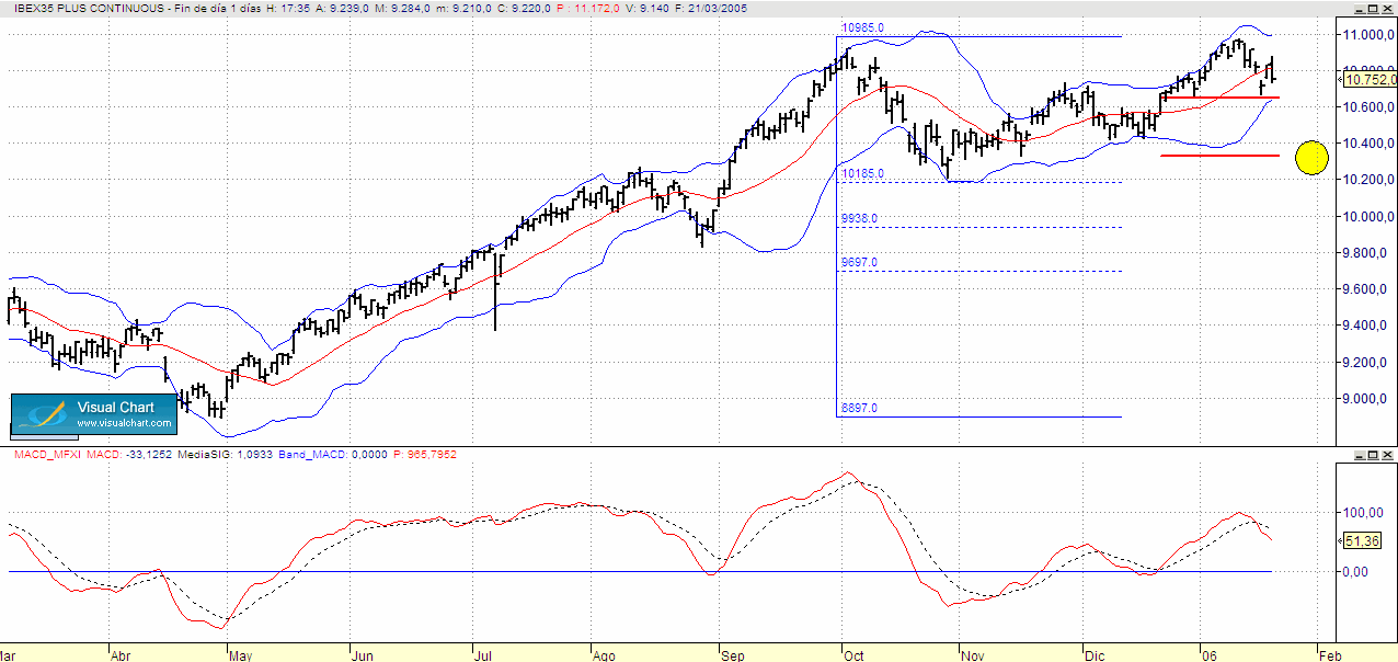 BICHO IBEX diario.gif