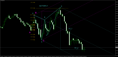 Butterfly_Eurusd_00.png