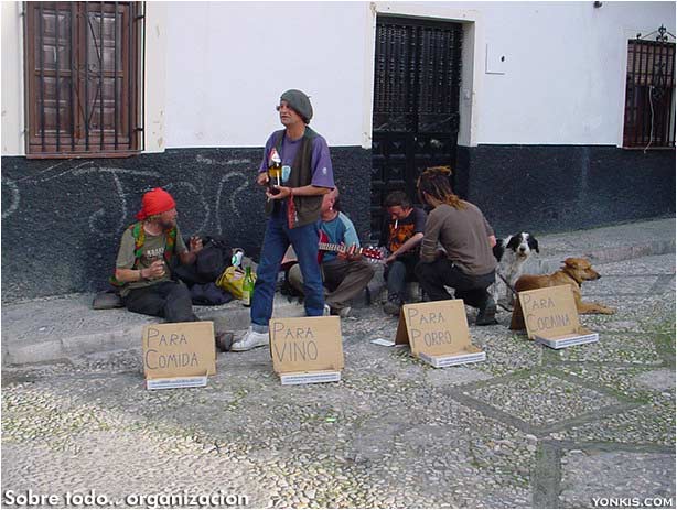organizacion.jpg