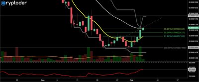nem-btc-05-09.jpg