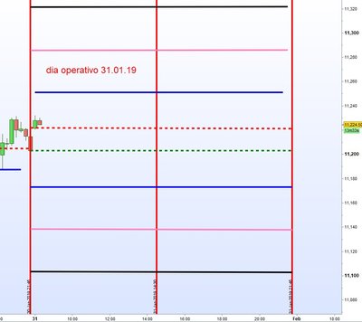 dia operativo 31.1.19.jpg