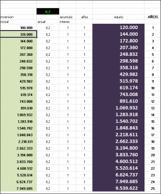 20% anual capital 100.000