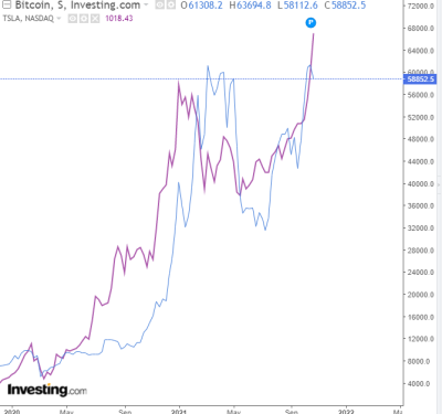 bitcoin vs Tesla