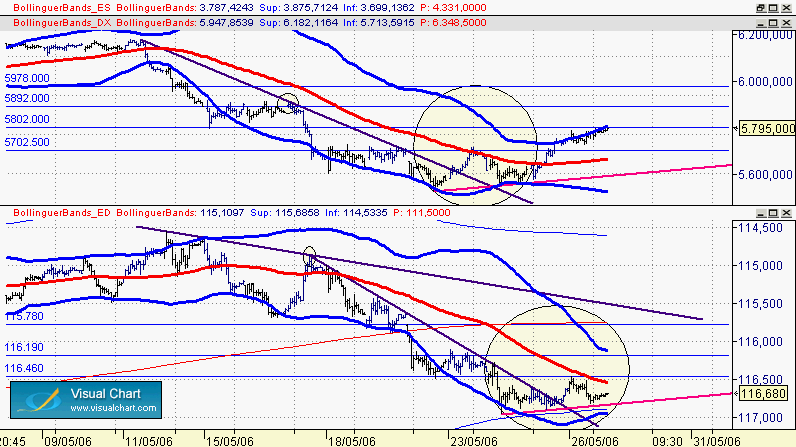 tras los pasos del dax.gif