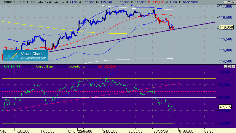 en directriz 31-5.gif