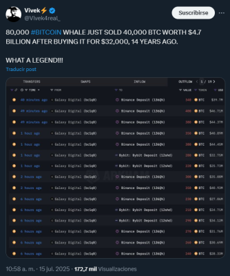 Whales.png