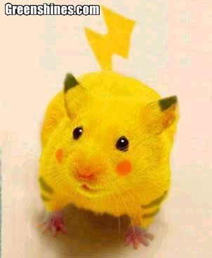 PIKACHU