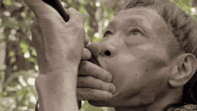 waorani.gif
