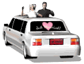 closeup_bridegroom_lg_wht.gif