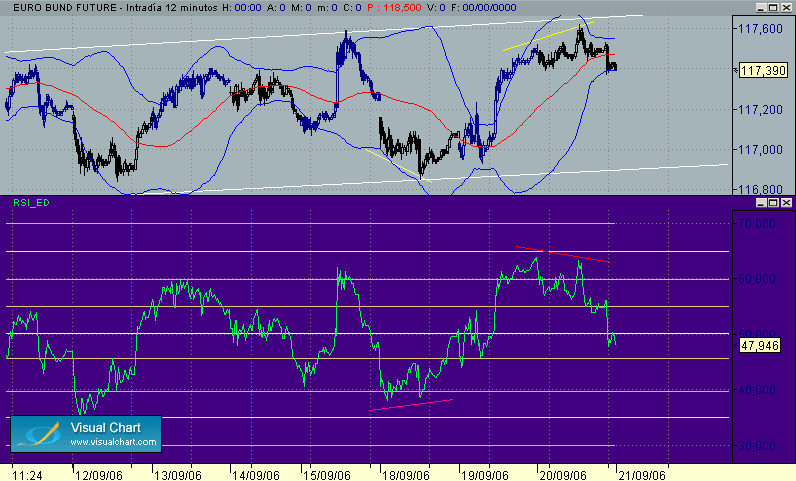 diver en bund 20-9.gif