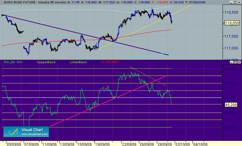 bonito del sur 29-9.gif