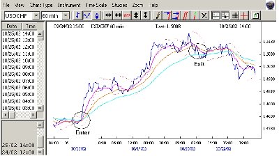 grafico1.jpg