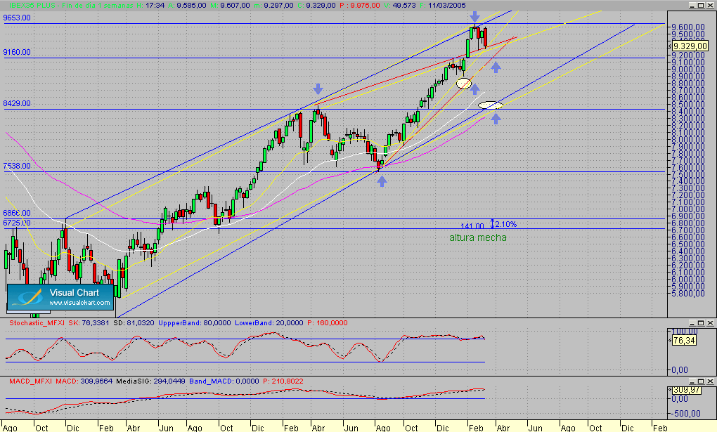 Copia de Fibex.semanal.segmto.110305.gif